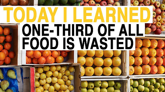 Today I Learned - Food Waste